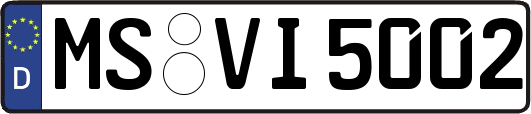 MS-VI5002