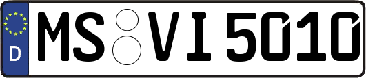 MS-VI5010