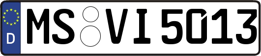 MS-VI5013