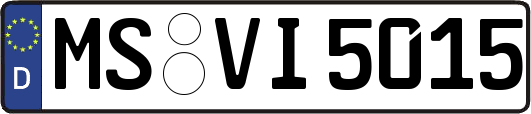 MS-VI5015