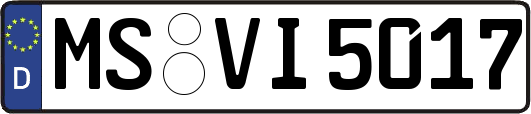 MS-VI5017