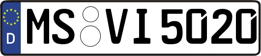 MS-VI5020