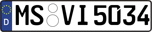 MS-VI5034