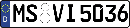 MS-VI5036