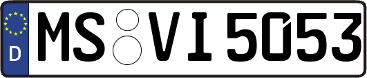 MS-VI5053
