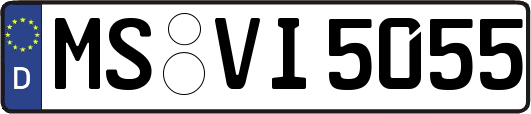 MS-VI5055
