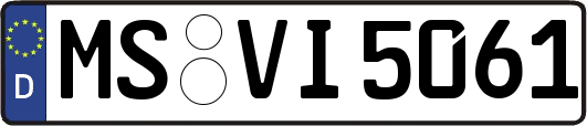 MS-VI5061