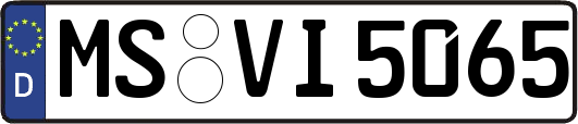 MS-VI5065