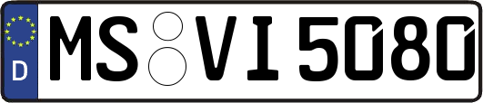 MS-VI5080