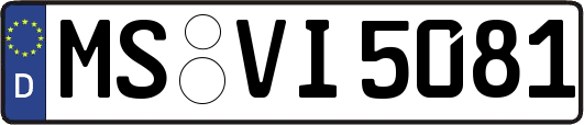 MS-VI5081