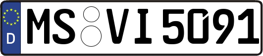 MS-VI5091