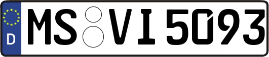 MS-VI5093