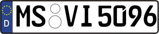 MS-VI5096