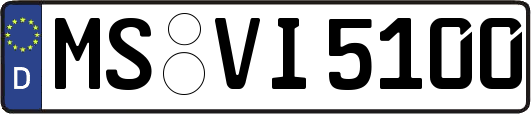 MS-VI5100