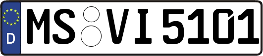 MS-VI5101