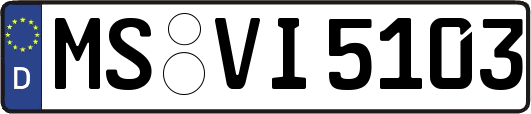 MS-VI5103