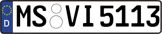 MS-VI5113