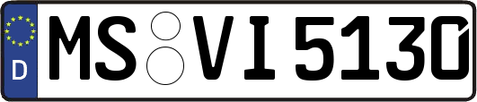 MS-VI5130