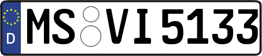 MS-VI5133