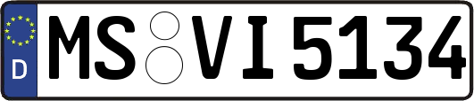 MS-VI5134