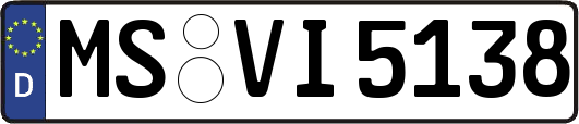 MS-VI5138