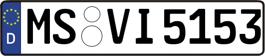 MS-VI5153
