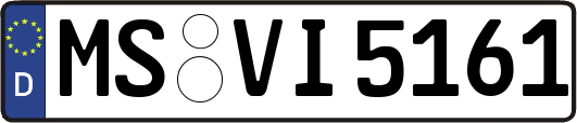 MS-VI5161