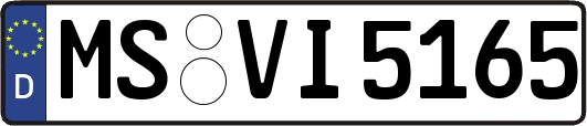 MS-VI5165