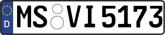 MS-VI5173