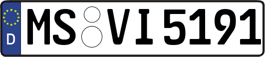 MS-VI5191