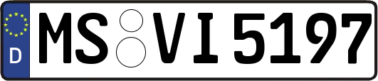 MS-VI5197