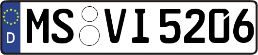 MS-VI5206
