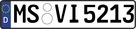 MS-VI5213