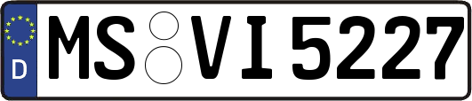 MS-VI5227