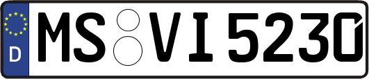 MS-VI5230