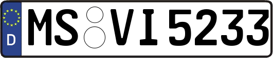 MS-VI5233