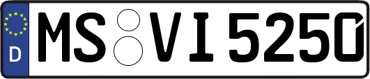 MS-VI5250