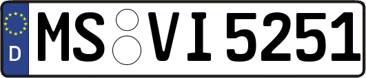 MS-VI5251