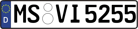 MS-VI5255