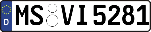 MS-VI5281