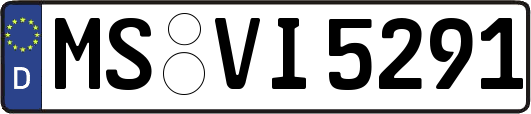 MS-VI5291