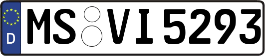 MS-VI5293