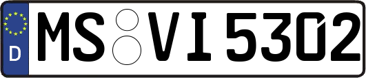 MS-VI5302