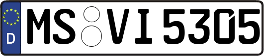 MS-VI5305