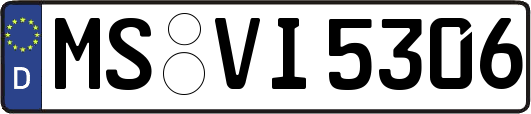 MS-VI5306