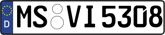 MS-VI5308