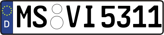 MS-VI5311