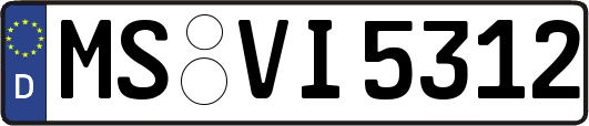 MS-VI5312