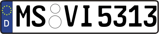 MS-VI5313