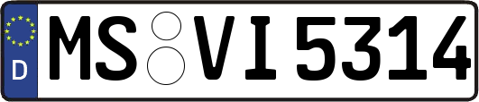 MS-VI5314